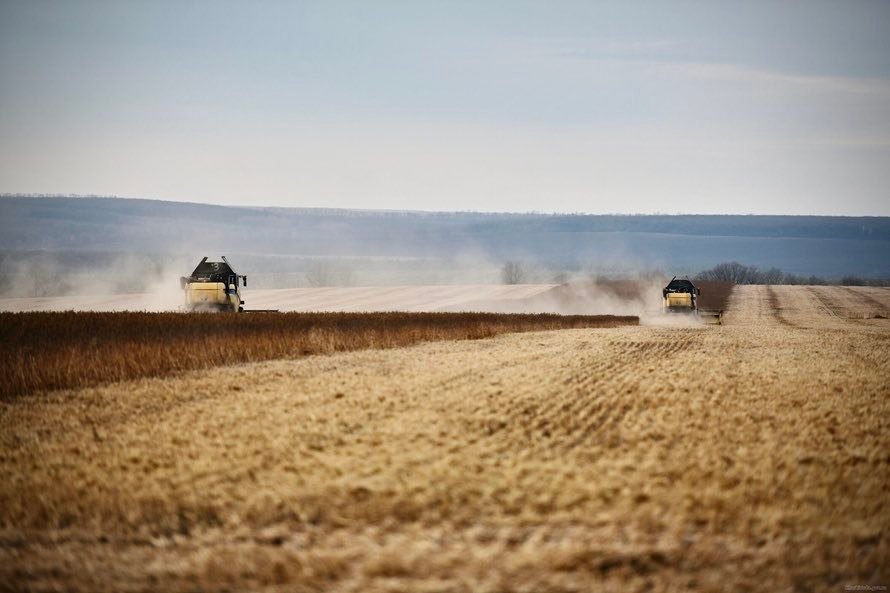 Збір зерна, Харківська область, 2022 рік