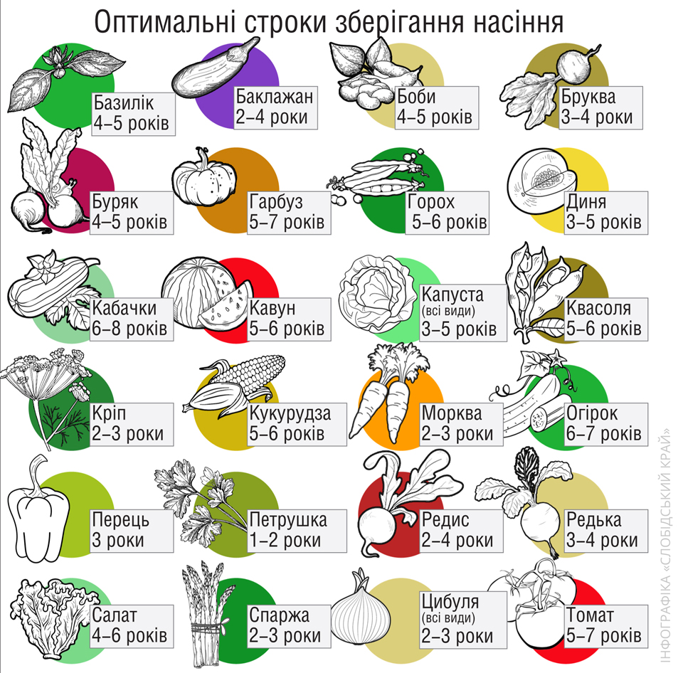 Оптимальні строки зберігання насіння інфографіка "Слобідський край"