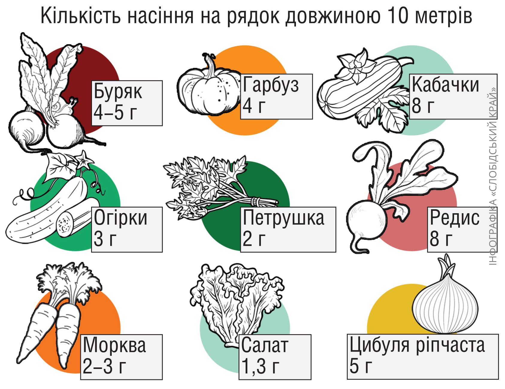 Скільки грамів насіння потрібно на 10 метрів грядки