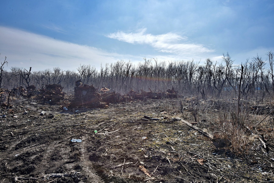Харківська область. Від полум’я могли постраждати понад 20 тисяч гектарів лісу