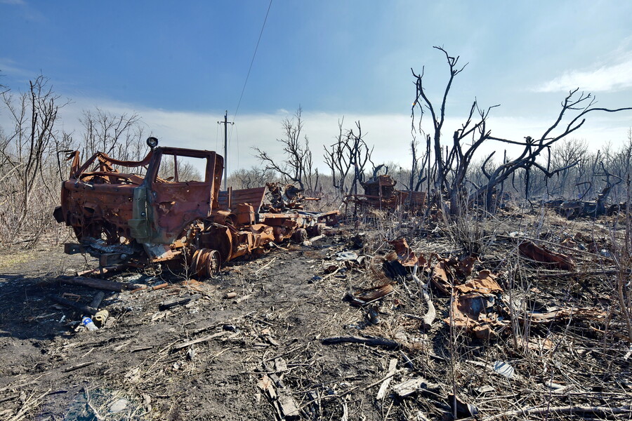 Харківська область. Окупанти могли спалити близько 20 тисяч га лісів 