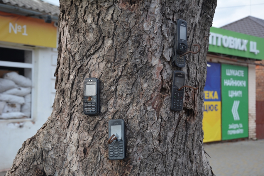 Прибиті до дерева телефоні на одній з центральних вулиць селища Козача Лопань Харківської області
