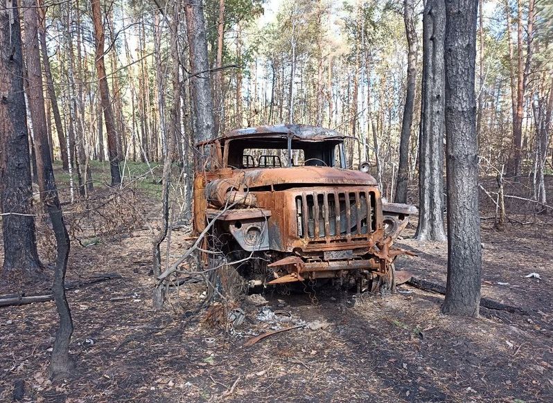 ізюмський ліс