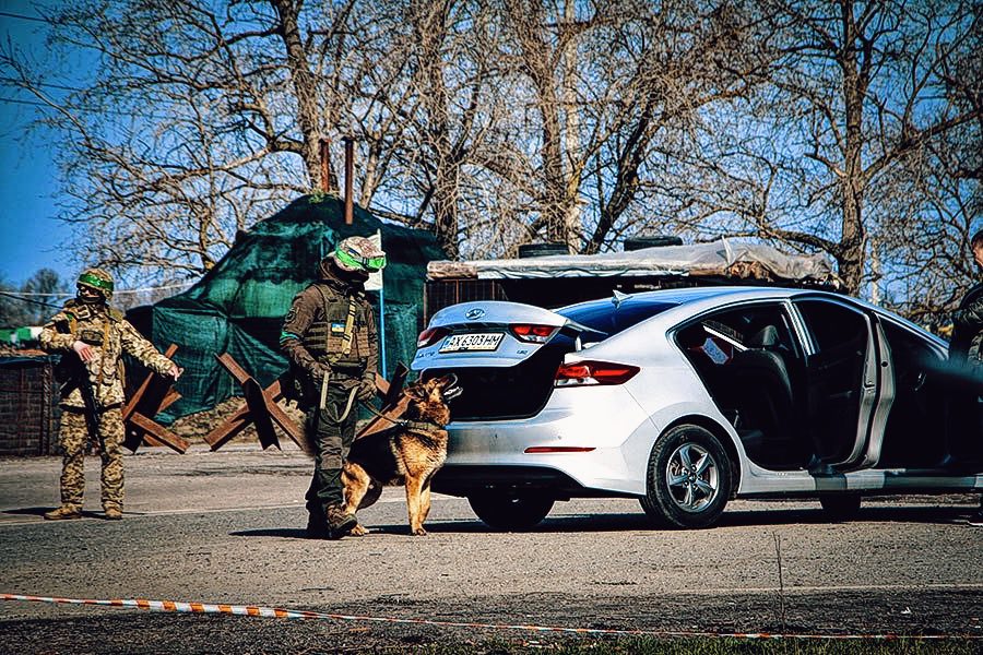 Робота службової собаки на блокпосту, Харківська область