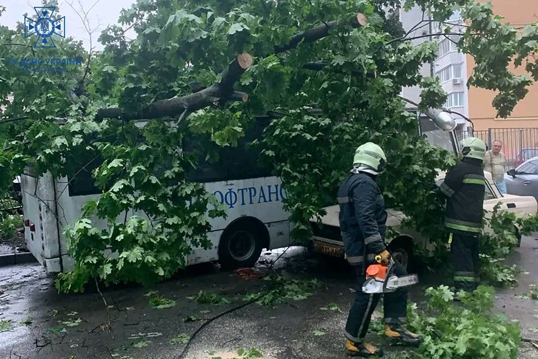 Харків, повалені дерева