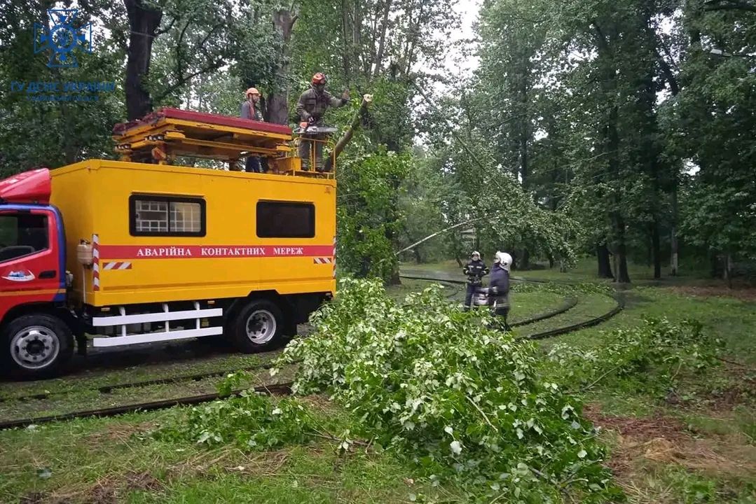 Дснс прибирають дерева з проїзних шляхів