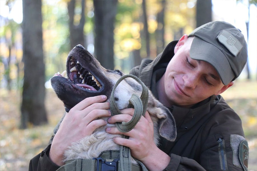 Пес з кінологом 