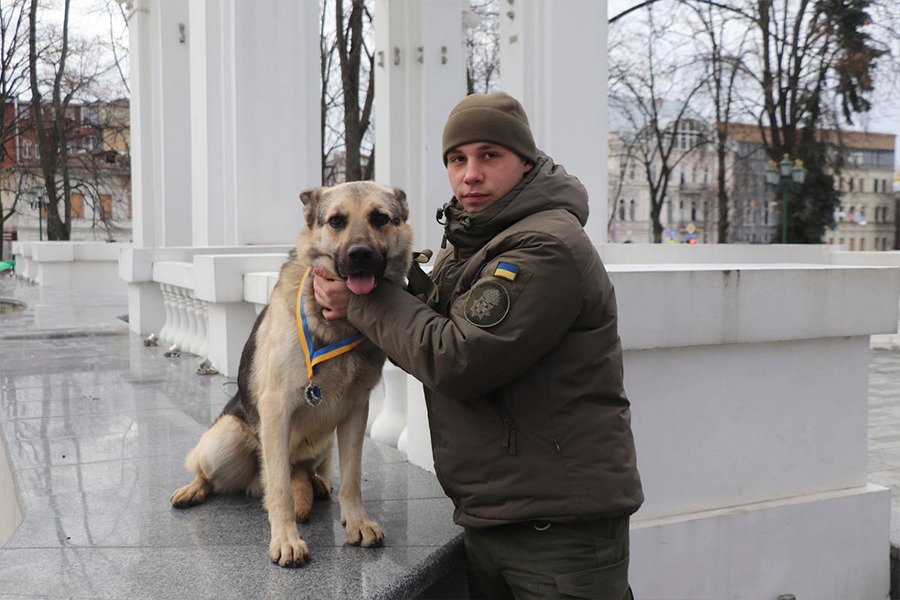 собаки нацгвардії 