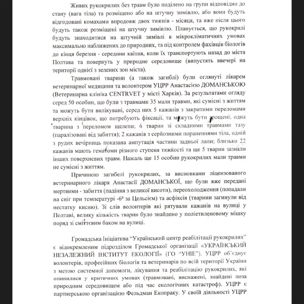 Лист Bats Ukraine