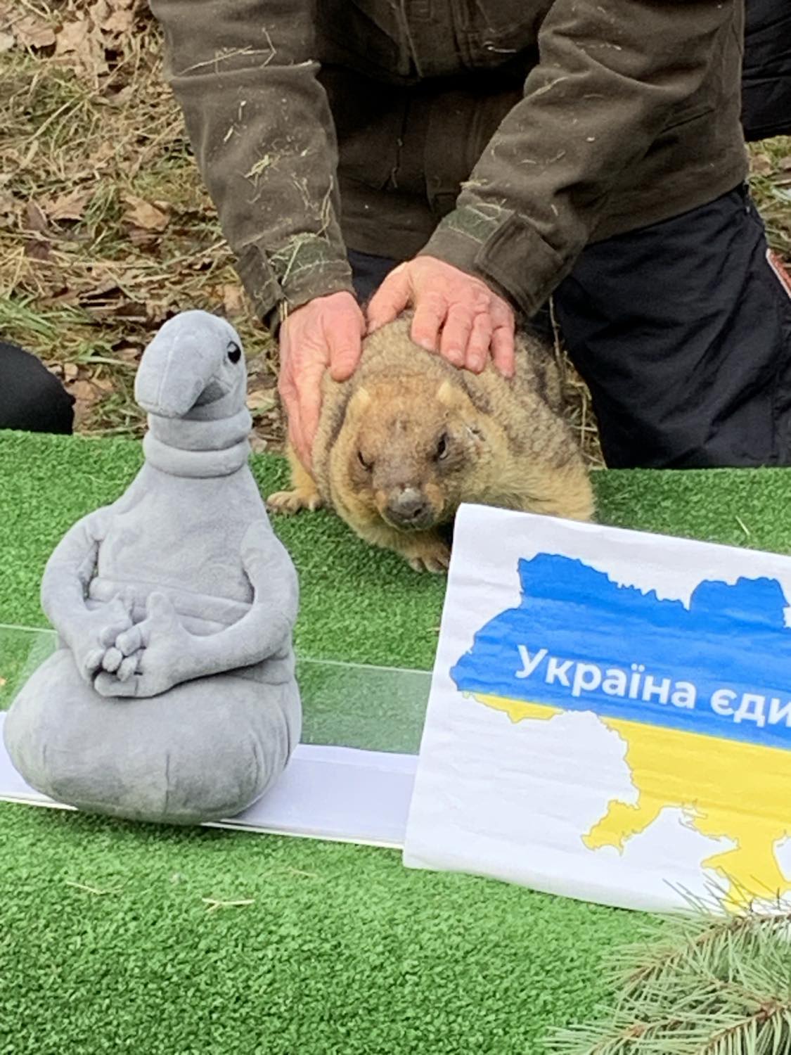 спрогнозував прихід весни 