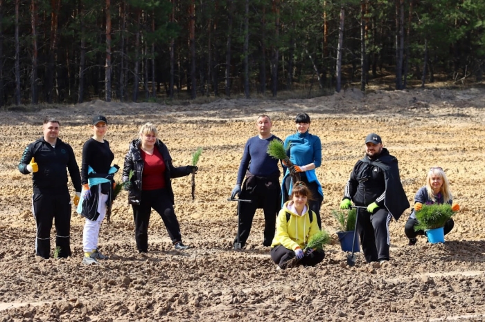 Садіння лісу у Наталинській громаді/фото: Слобожанський лісовий офіс