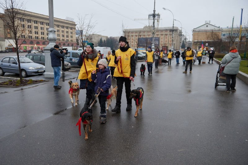 У центрі Харкова відбулася акція «Візьми друга з притулку»