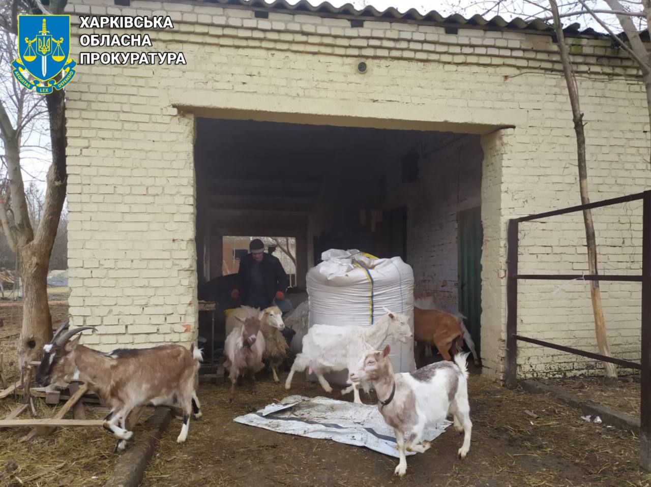 Ворог вдарив по притулку для тварин