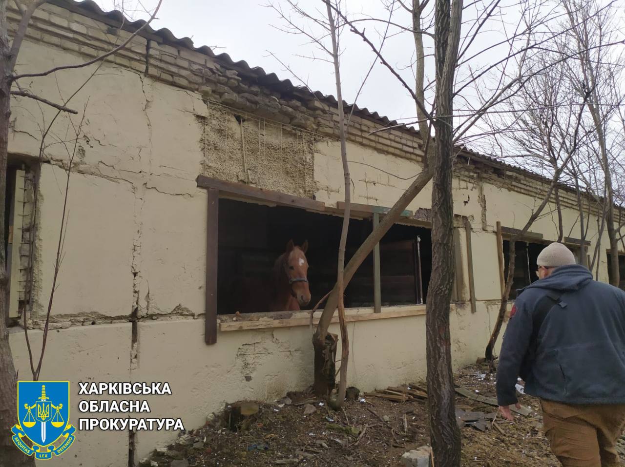 Окупанти атакували притулок