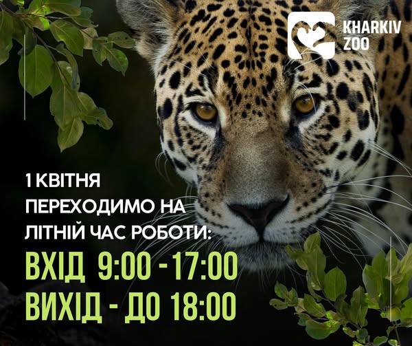 Харківській зоопарк, графік роботи