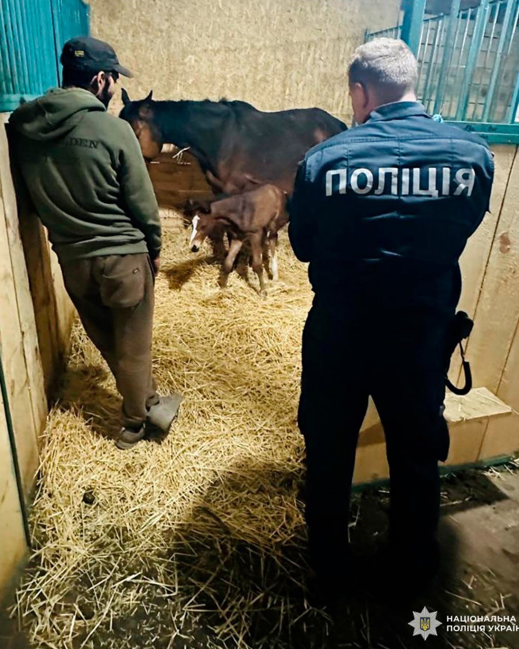 Народження лошати