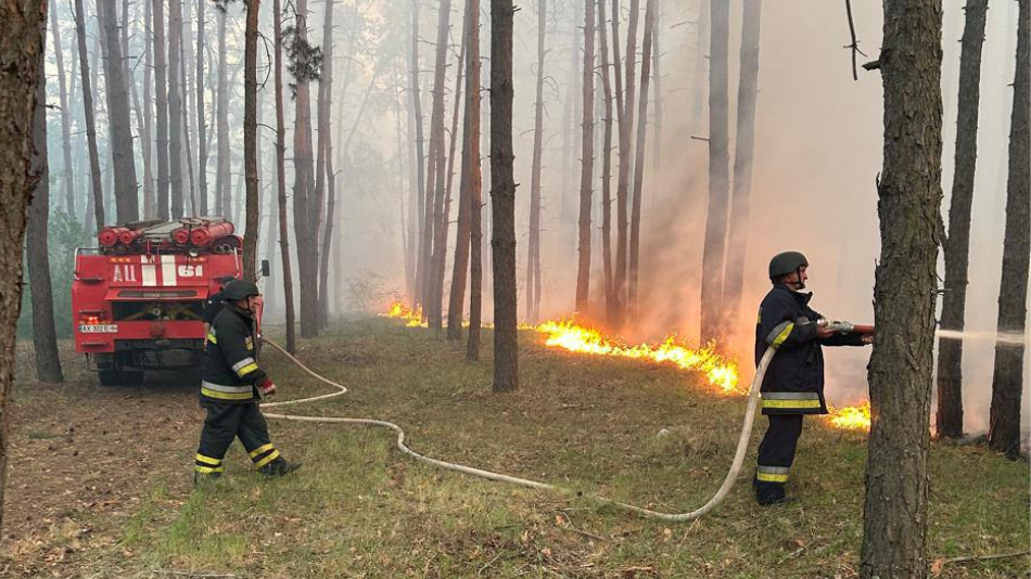 Пожежа у Борівському лісництві