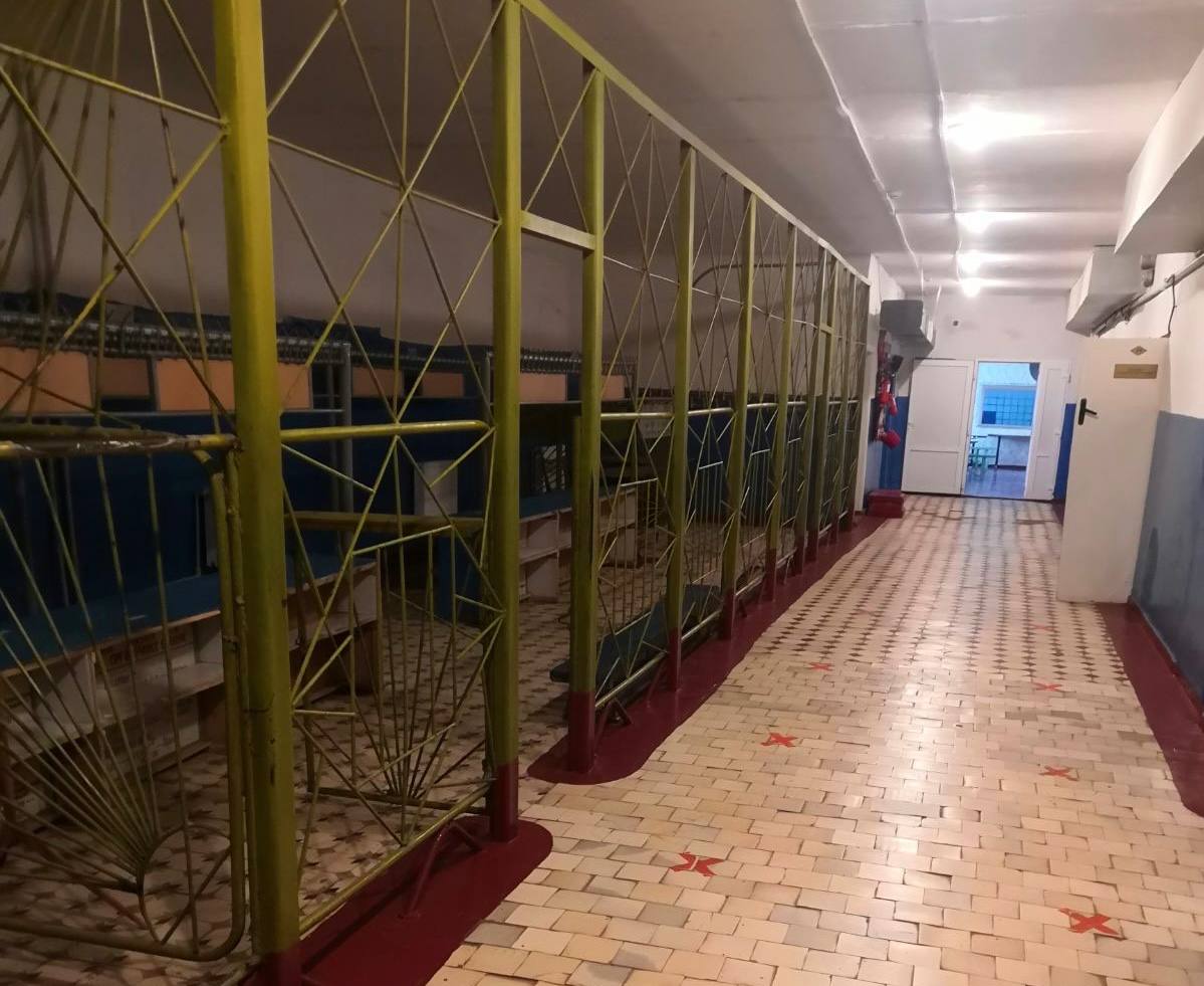 Укриття в ліцеї 