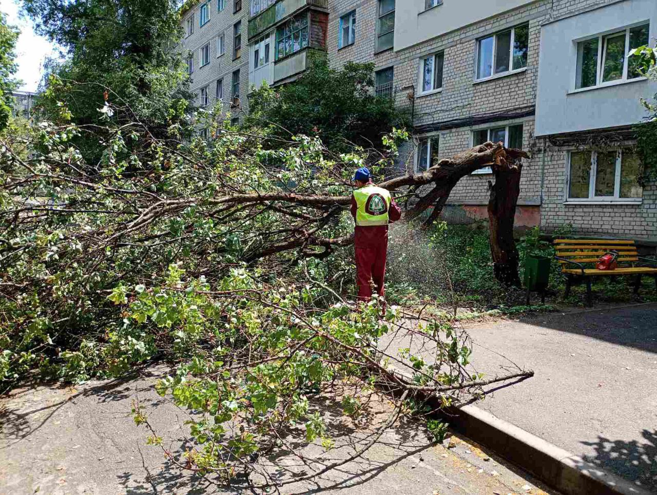 Комунальники прибирають гілки з вулиць