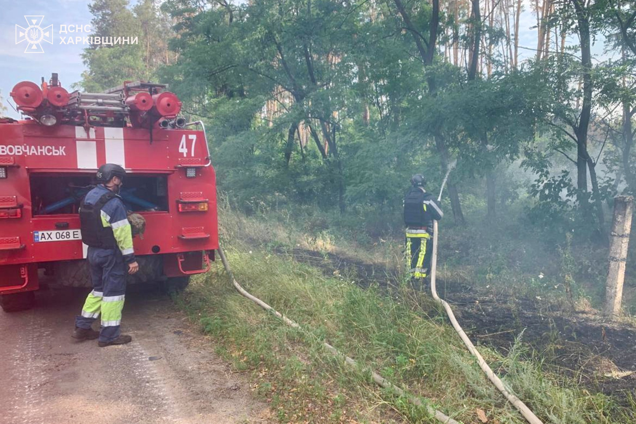 Рятувальники борються з лісовою пожежею