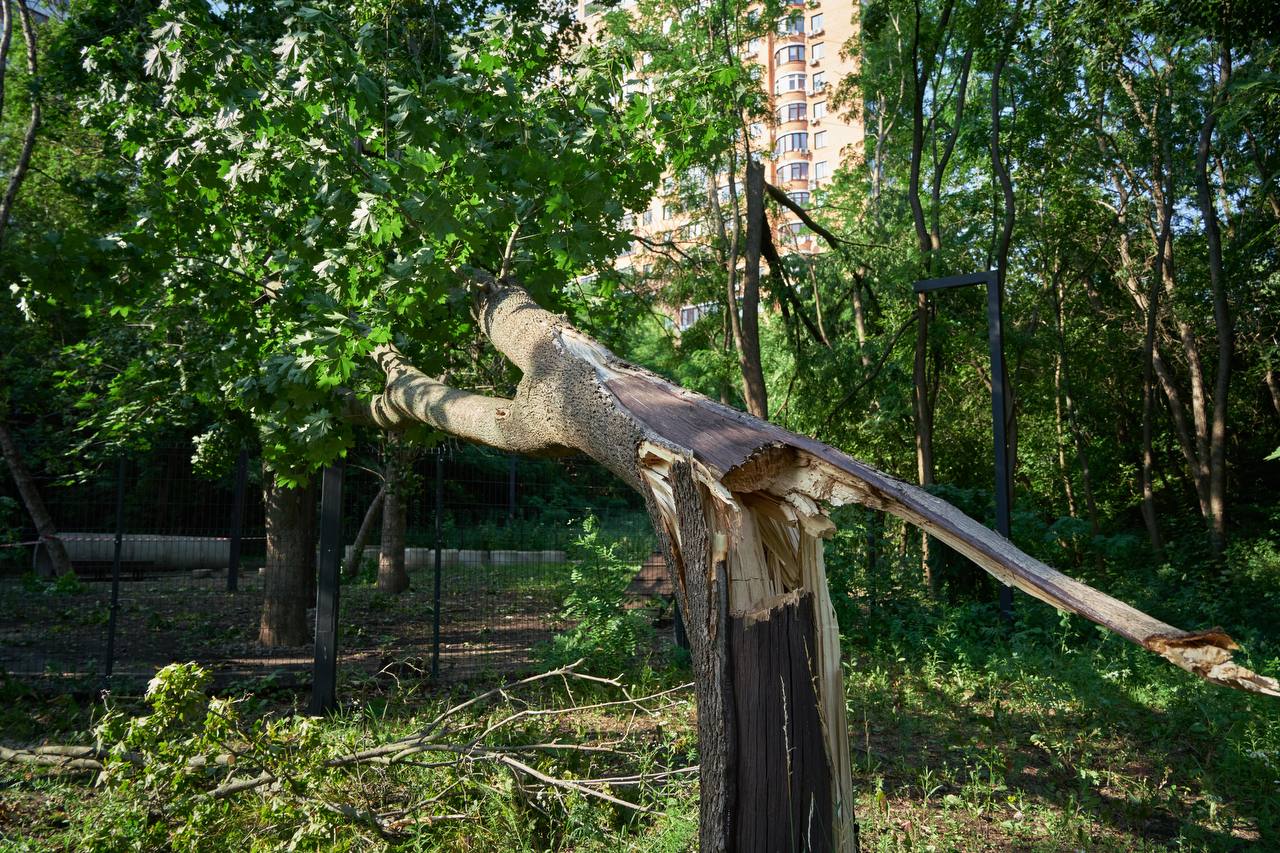 Буревій у Харкові
