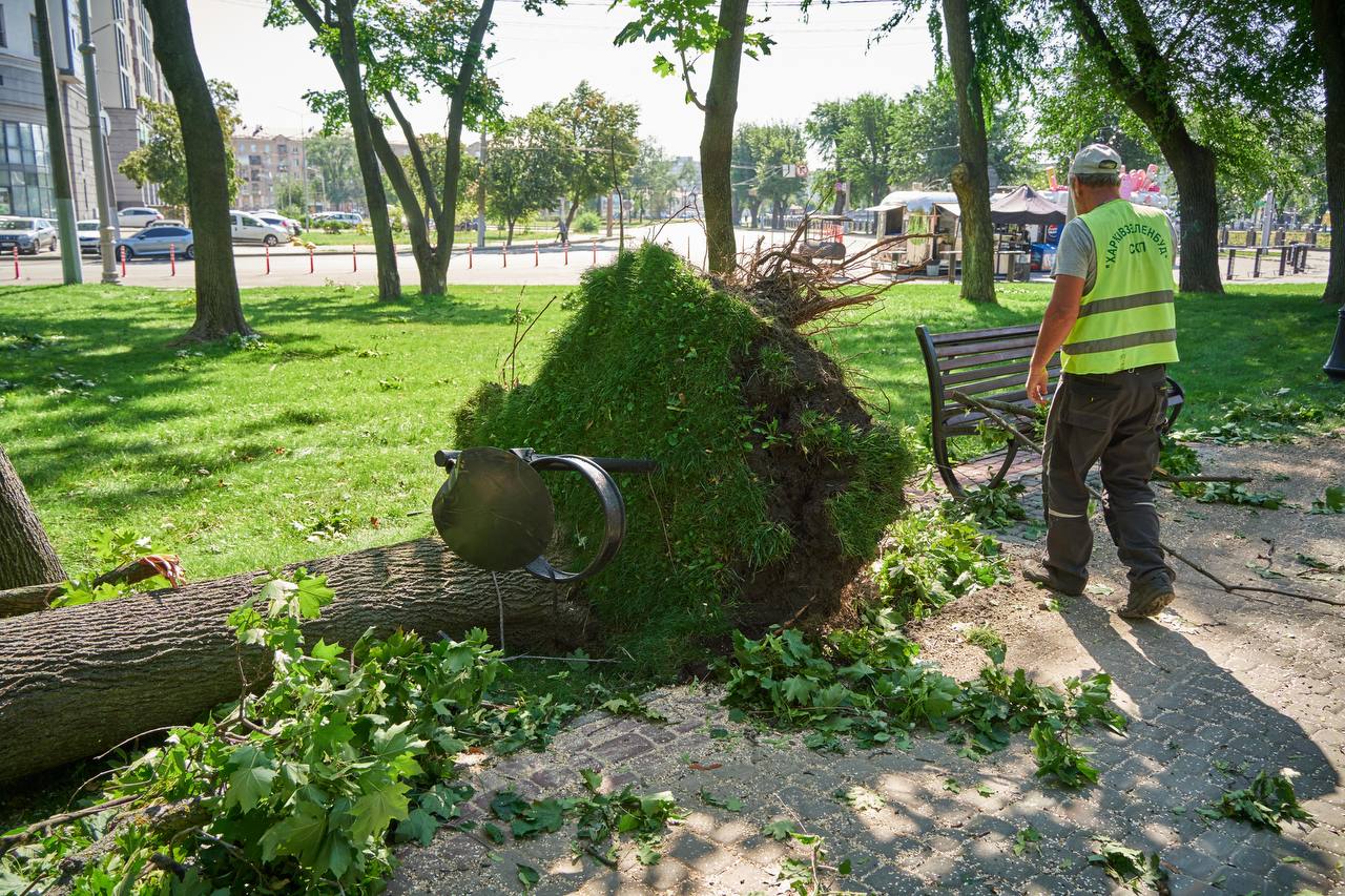 Комунальники усувають наслідки буревію