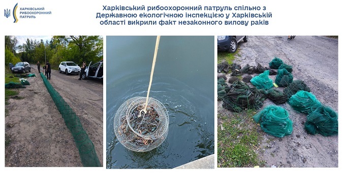 Браконьєрство