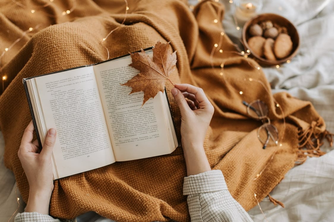День читання книги.