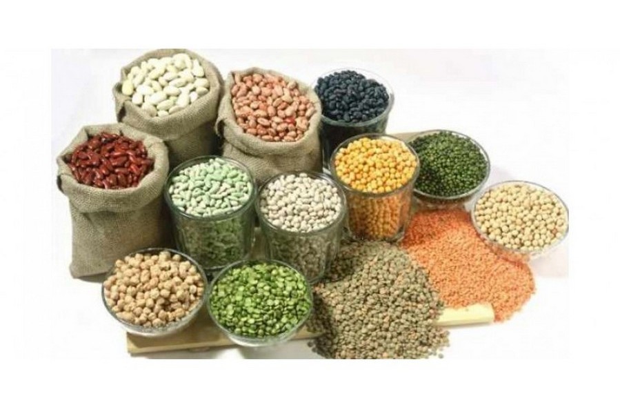 Насіння овочевих культур