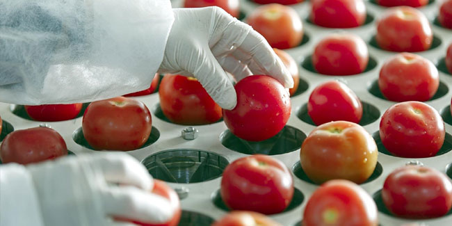 День працівників харчової промисловості.