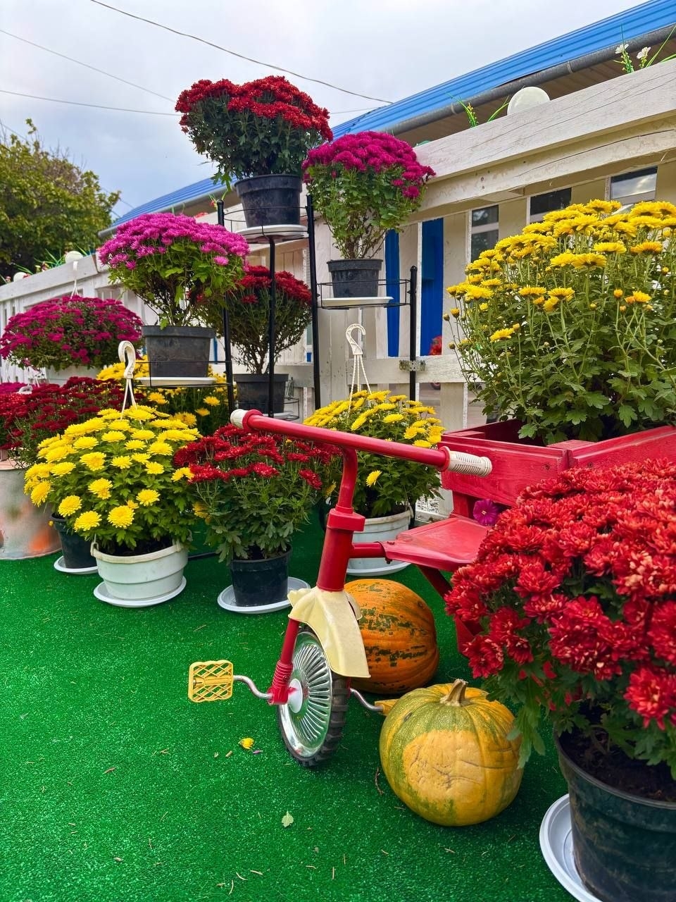 Майданчик біля кафе Василя Олексюка