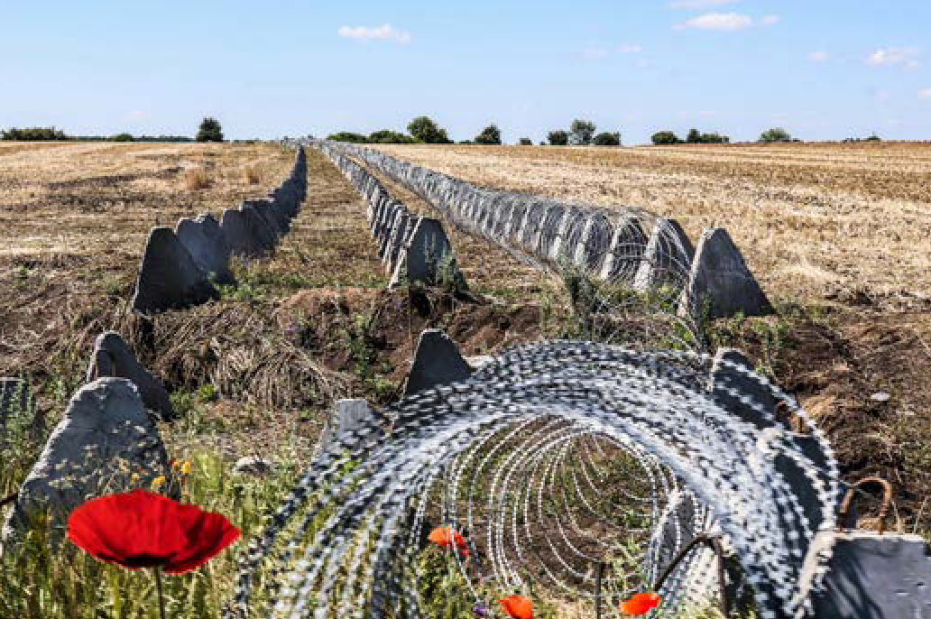 Квіти ростуть на фоні укріплень "зуби дракону"