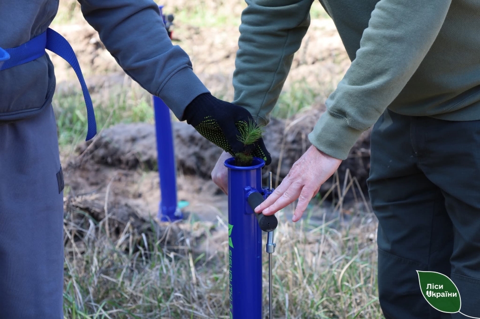 Lisokulturna kampaniia na Kharkivshchyni-2025