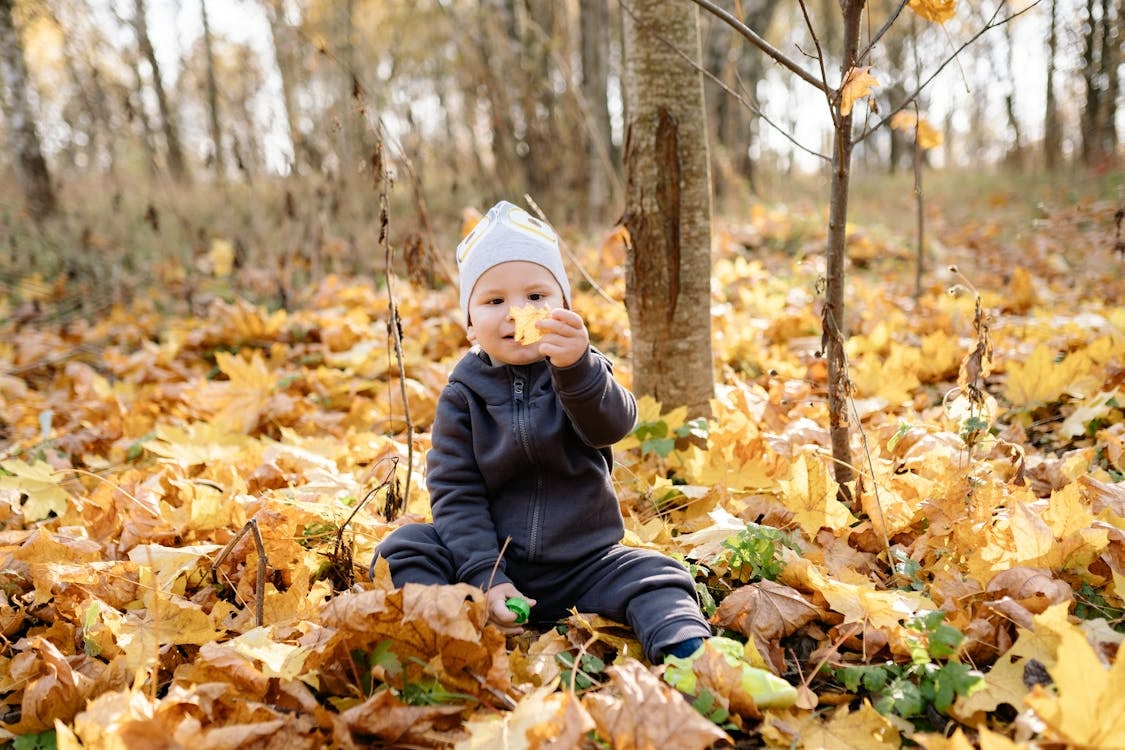 день ангела 9 листопада