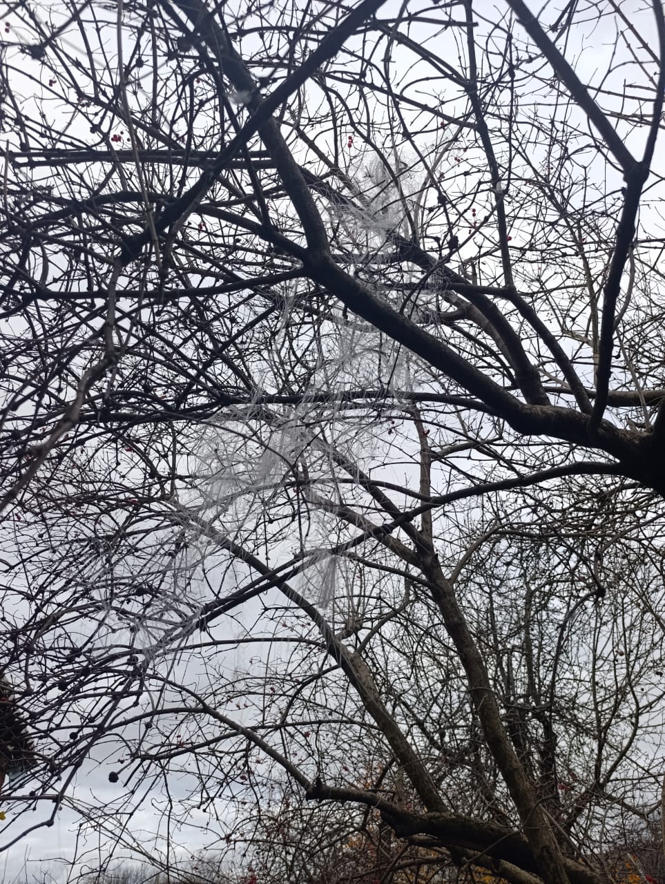 FPV вдарив по Золочівській громаді