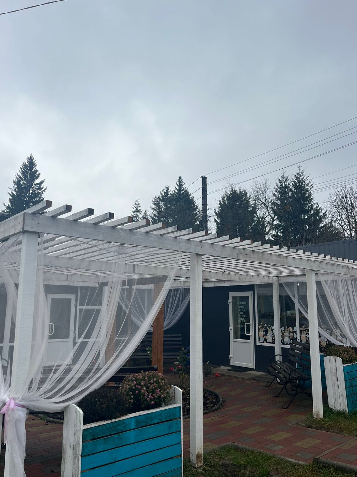 Дерев'яні вибори, Коломак