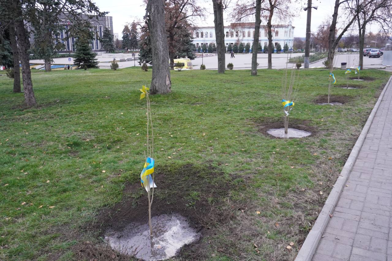 Алея дерев у Ізюмі