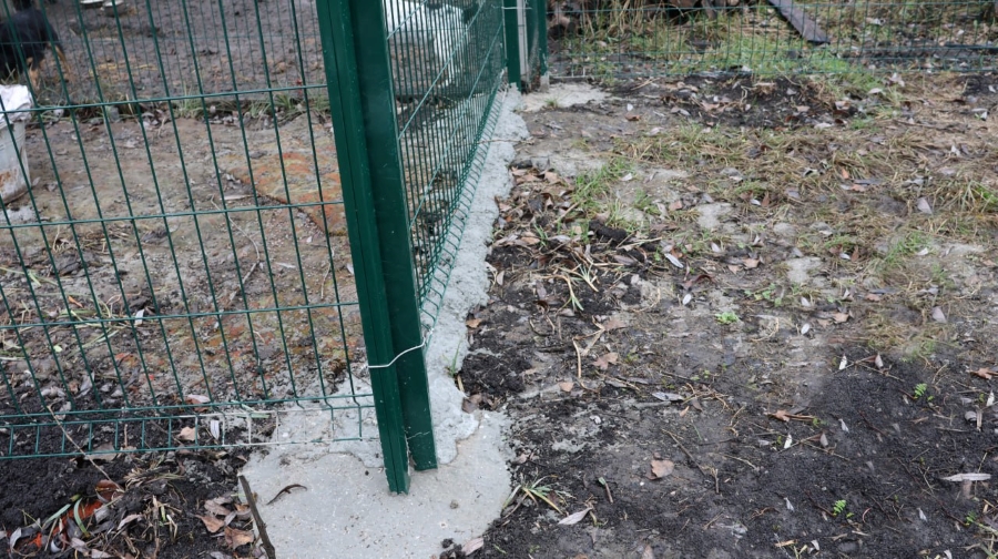 місце для вигулу тварин