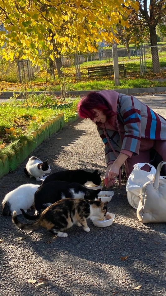 Безпритульні тварини-Харків-допомога