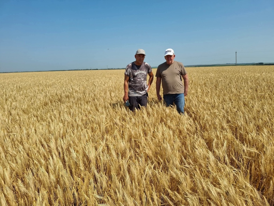 Агрофірма Киселі-Олексіївська громада-02