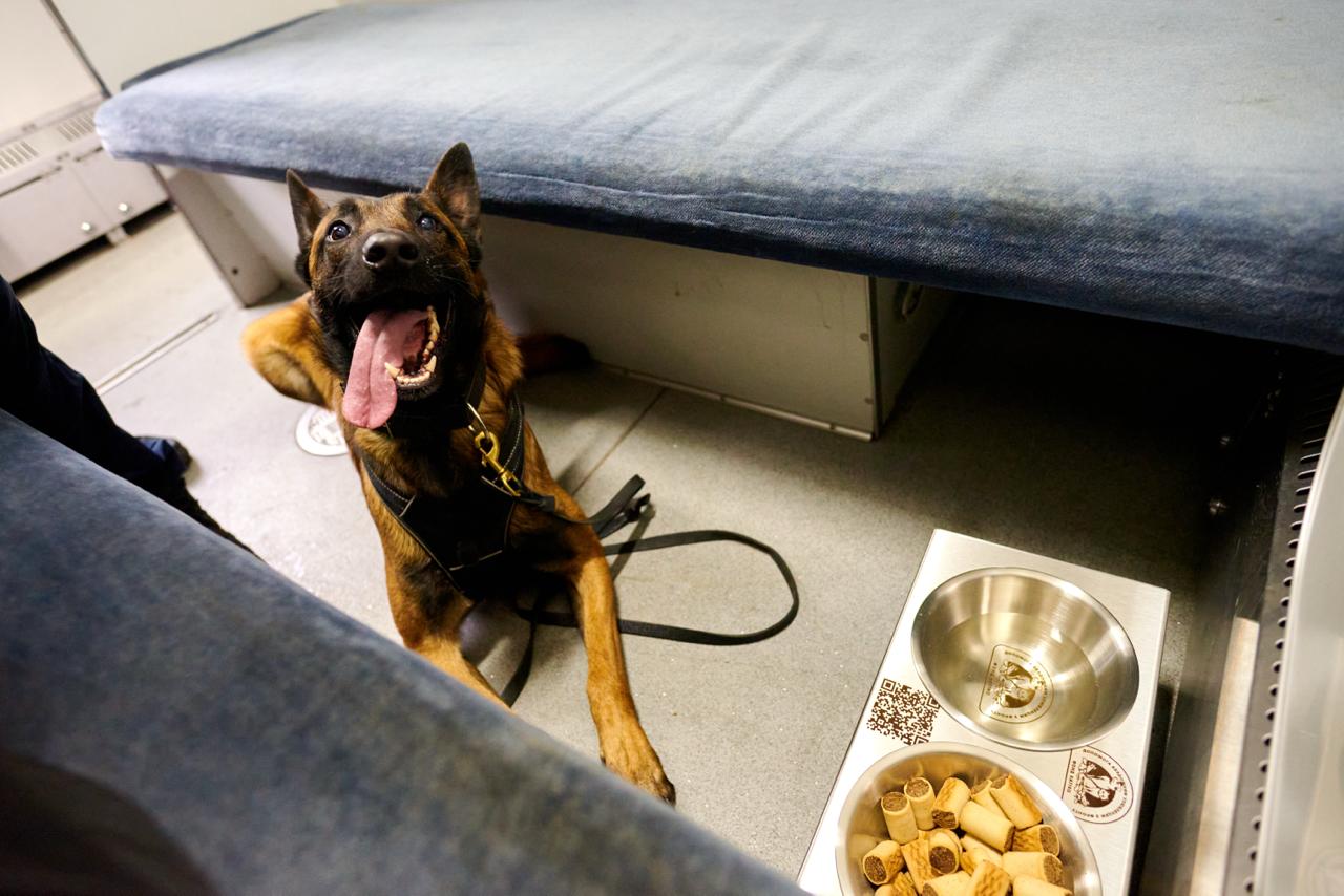 Вагон незламності, купе для тварин