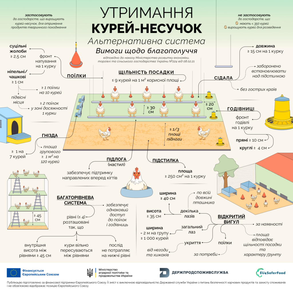 Утримання курей-несучок, альтернативна система