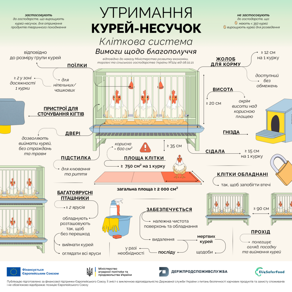 Утримання курей-несучок, кліткова система