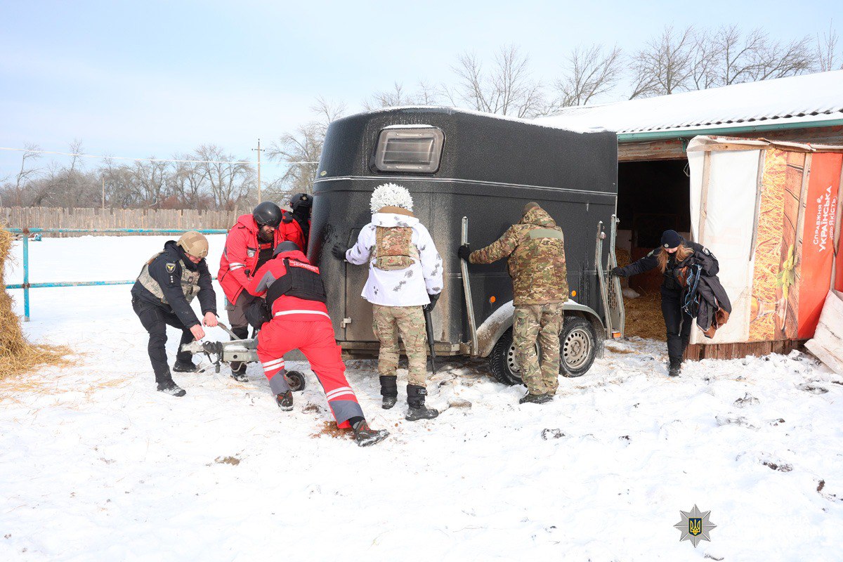 Поліція та волонтери евакуюють коней