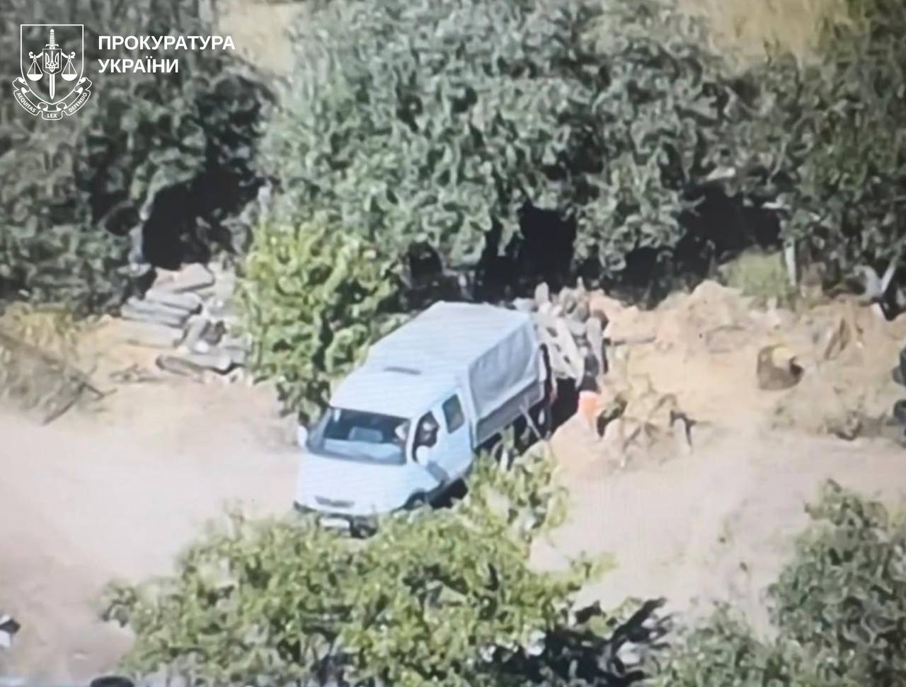 Незаконна вирубка лісу