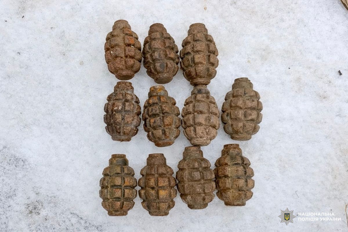 У мешканця Ізюмщини вилучили боєприпаси