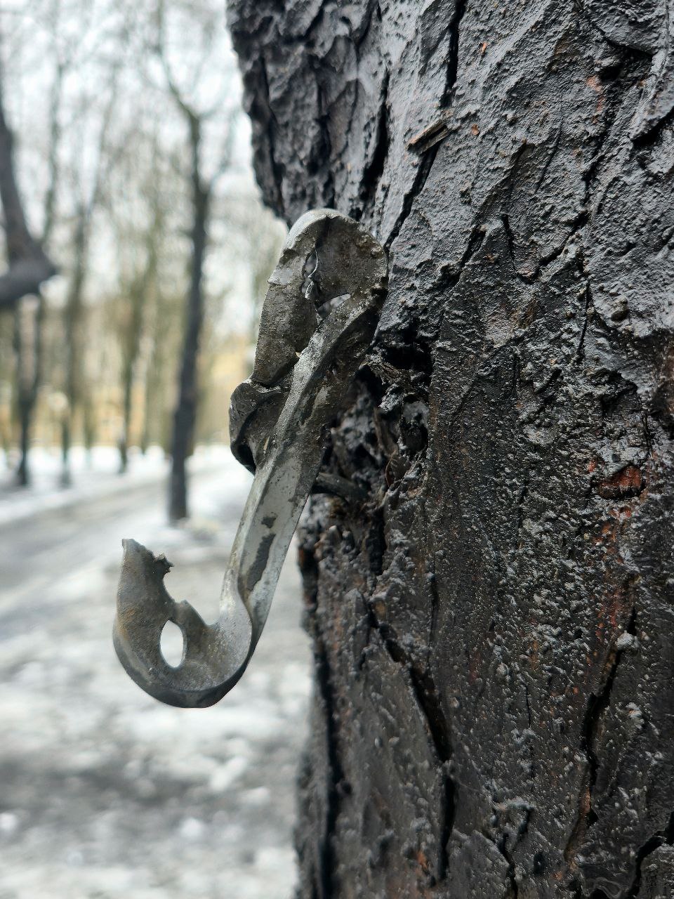Вночі ракета влучила в Центральний парк