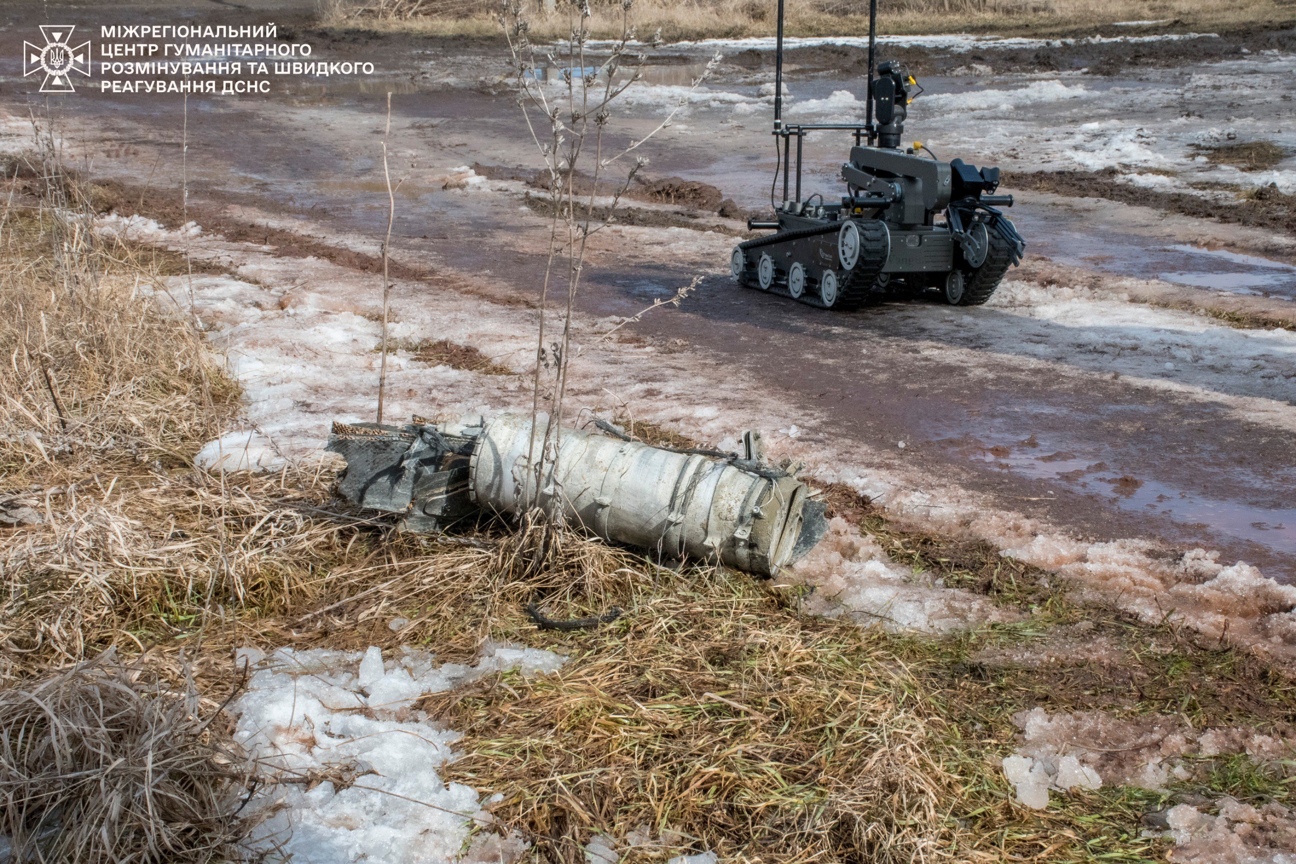 Сапери знищили протитанкові міни