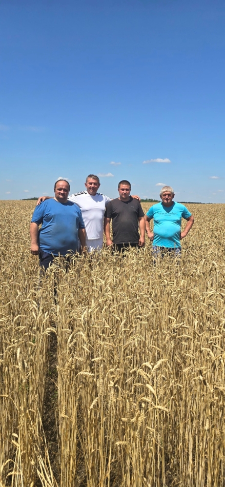 Колос-Близнюки-1