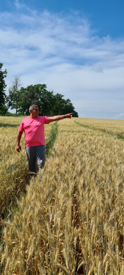 Колос-Андрій Воронкін-Близнюки-Харківська область
